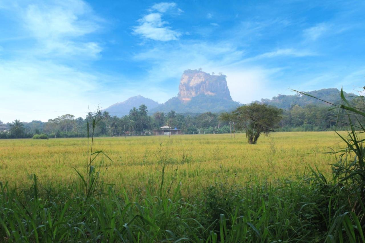 Sigiriya Hillside View Villa Ngoại thất bức ảnh