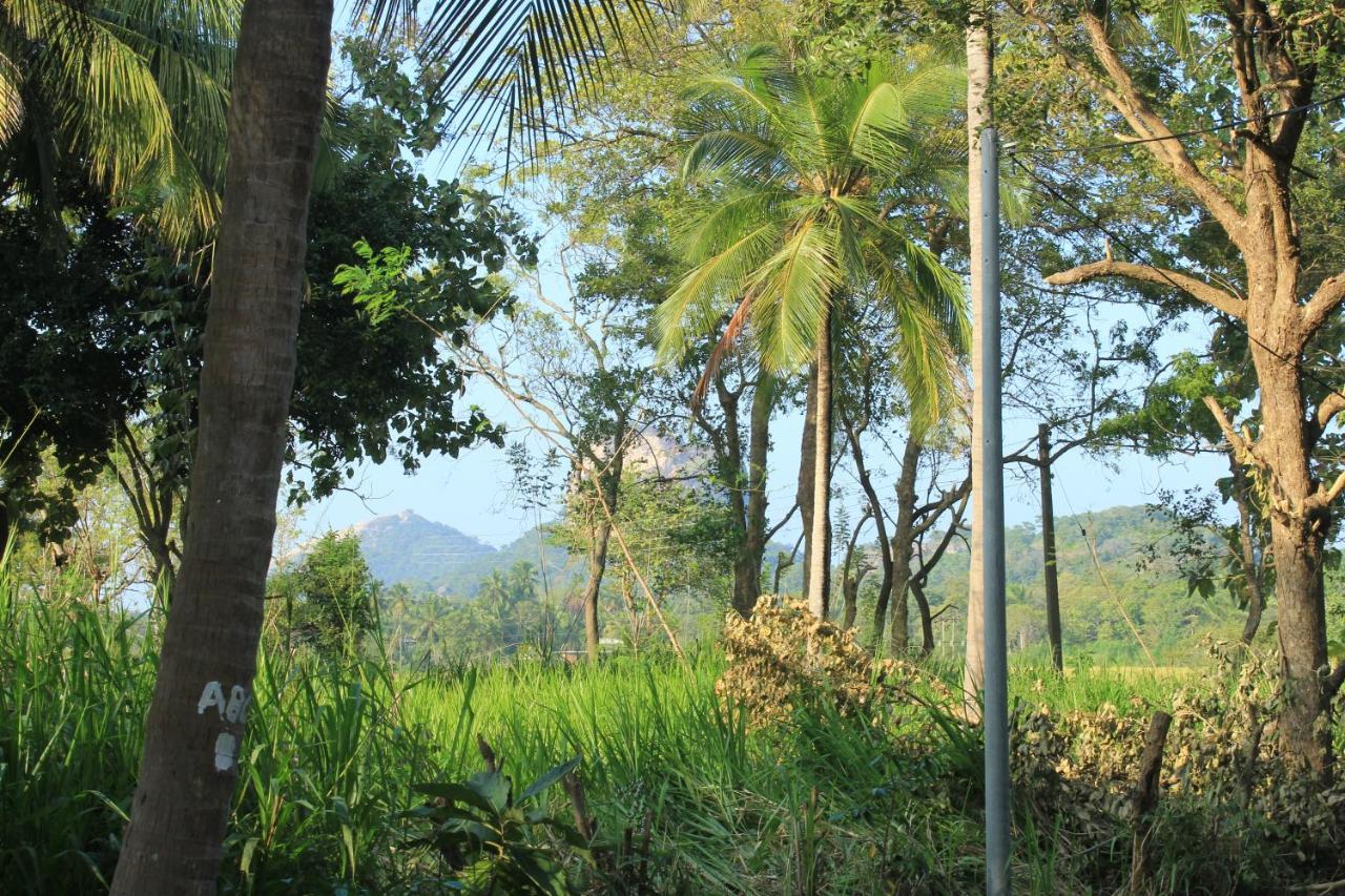 Sigiriya Hillside View Villa Ngoại thất bức ảnh