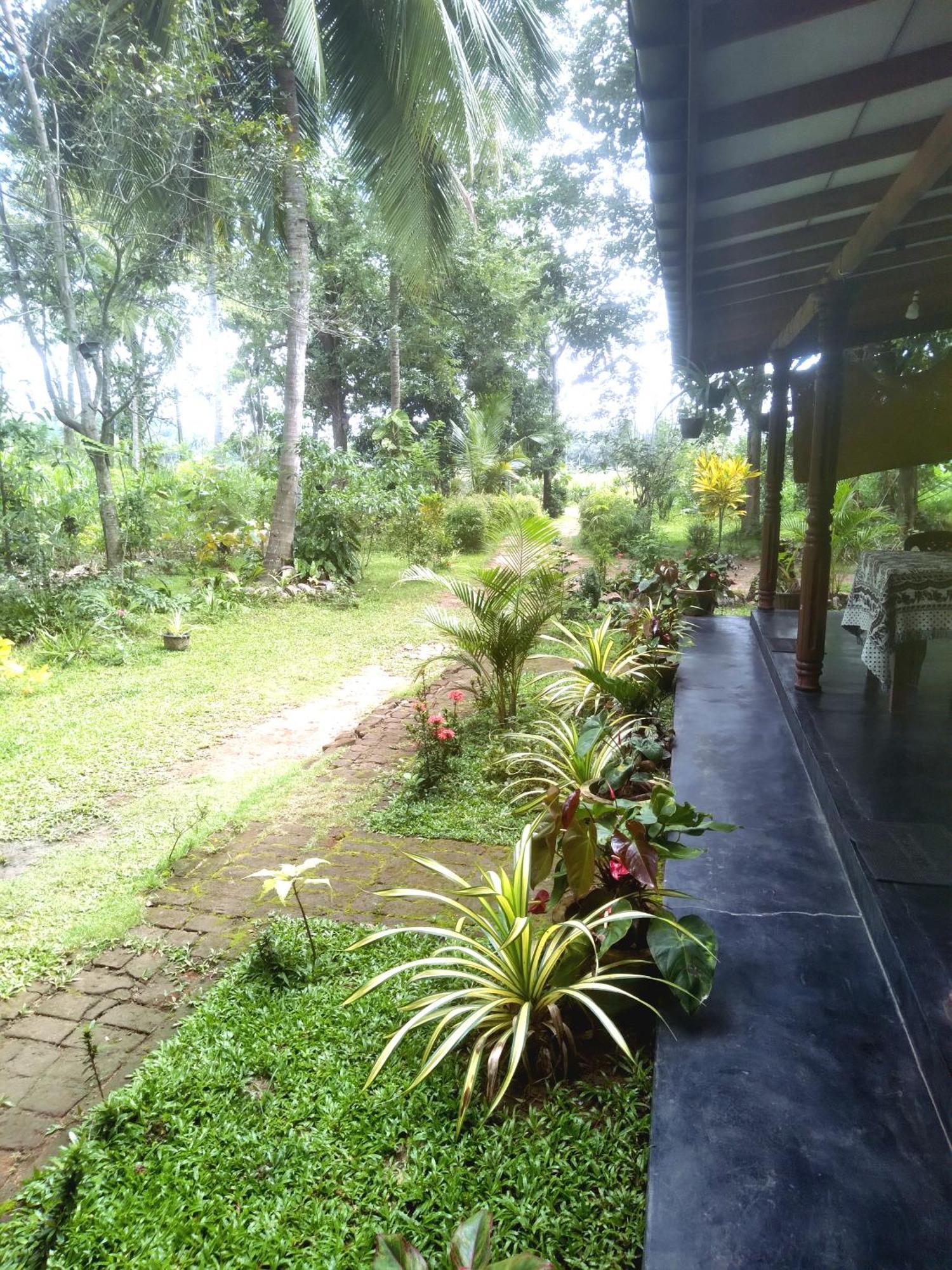 Sigiriya Hillside View Villa Ngoại thất bức ảnh